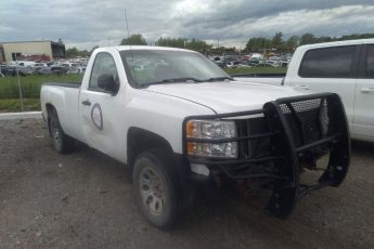 1GCNCPEX7DZ376983 | 2013 CHEVROLET SILVERADO 1500