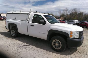 1GCNKPEX8BZ126815 | 2011 CHEVROLET SILVERADO 1500