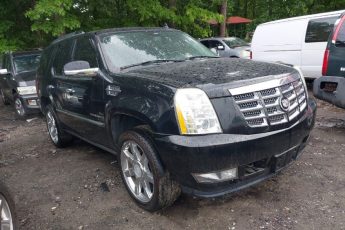 1GYFK63818R185184 | 2008 CADILLAC ESCALADE