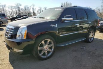 1GYS4BEF9DR257711 | 2013 Cadillac escalade luxury