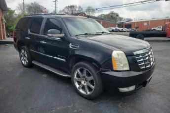 1GYUKBEF0AR136091 | 2010 Cadillac escalade luxury