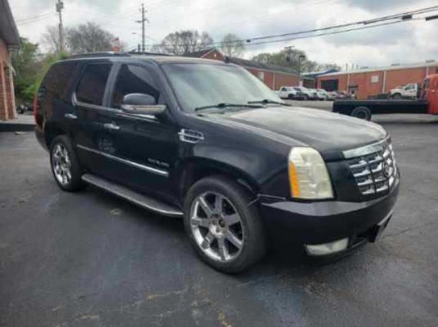 1GYUKBEF0AR136091 | 2010 Cadillac escalade luxury