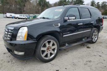 1GYUKCEF5AR206996 | 2010 Cadillac escalade premium