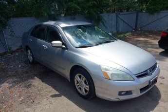 1HGCM56367A156016 | 2007 HONDA ACCORD