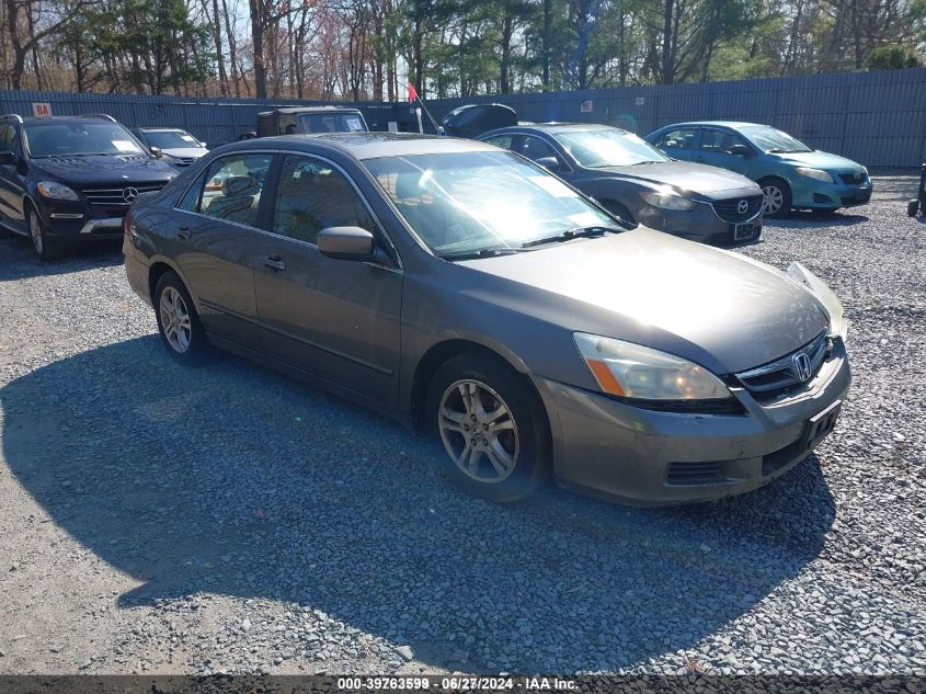 1HGCM56816A173705 | 2006 HONDA ACCORD