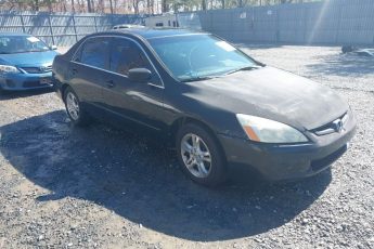 1HGCM56846A107715 | 2006 HONDA ACCORD