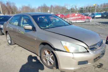 1HGCM56866A030295 | 2006 HONDA ACCORD