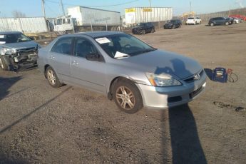 1HGCM56866A051695 | 2006 HONDA ACCORD