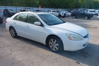 1HGCM66505A007685 | 2005 HONDA ACCORD