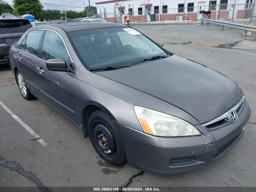 1HGCM66536A021503 | 2006 HONDA ACCORD