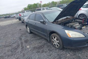 1HGCM66565A006699 | 2005 HONDA ACCORD