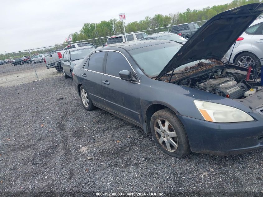 1HGCM66565A006699 | 2005 HONDA ACCORD