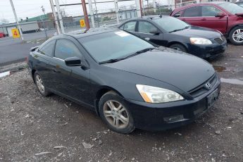 1HGCM72686A022313 | 2006 HONDA ACCORD