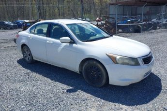 1HGCP26469A084543 | 2009 HONDA ACCORD