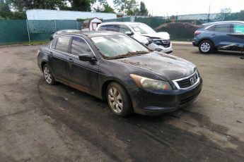 1HGCP26869A134599 | 2009 HONDA ACCORD