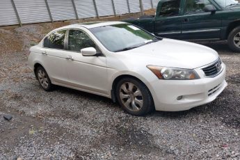 1HGCP36818A041901 | 2008 HONDA ACCORD