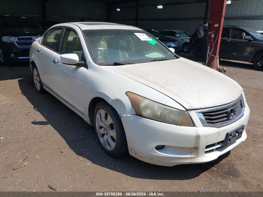 1HGCP36858A028326 | 2008 HONDA ACCORD