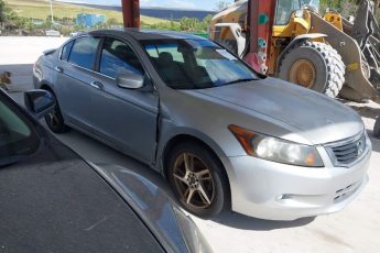 1HGCP36859A021099 | 2009 HONDA ACCORD