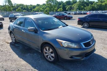 1HGCP36868A016301 | 2008 HONDA ACCORD