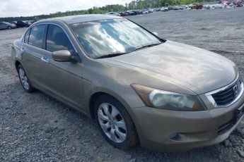 1HGCP36889A009254 | 2009 HONDA ACCORD