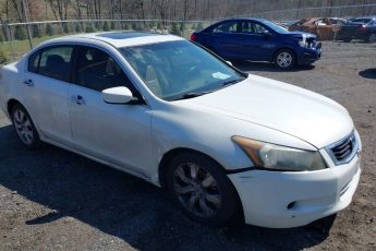 1HGCP368X9A025763 | 2009 HONDA ACCORD