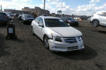 1HGCP3F80BA007584 | 2011 HONDA ACCORD