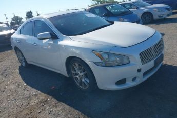 1N4AA5AP2BC868938 | 2011 NISSAN MAXIMA