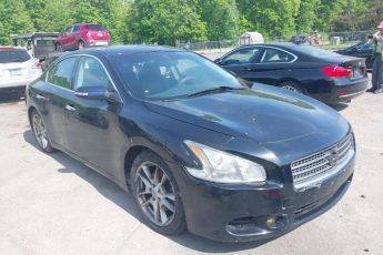 1N4AA5AP3BC867622 | 2011 NISSAN MAXIMA