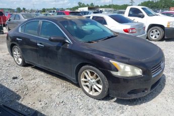 1N4AA5AP6AC818283 | 2010 NISSAN MAXIMA