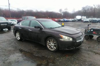 1N4AA5AP6BC800951 | 2011 NISSAN MAXIMA