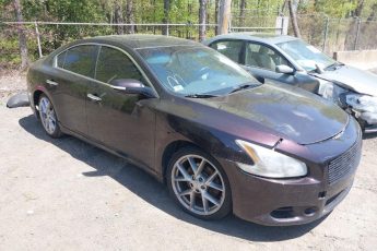 1N4AA5AP7AC806529 | 2010 NISSAN MAXIMA