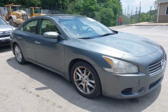 1N4AA5AP8AC827860 | 2010 NISSAN MAXIMA