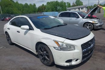 1N4AA5AP8DC842475 | 2013 NISSAN MAXIMA