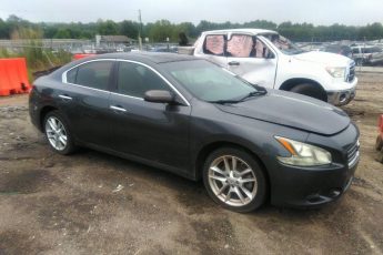 1N4AA5APXBC819034 | 2011 NISSAN MAXIMA