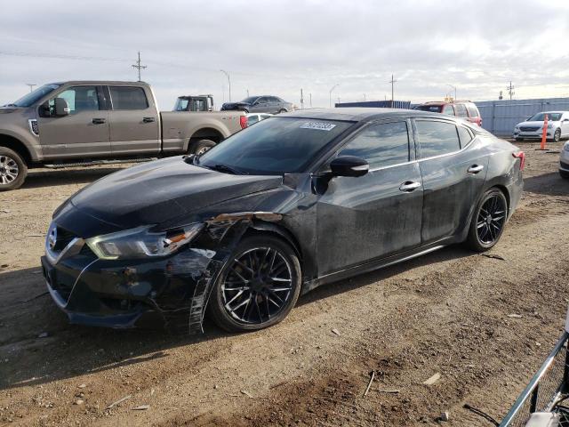 1N4AA6AP0HC365567 | 2017 NISSAN MAXIMA 3.5