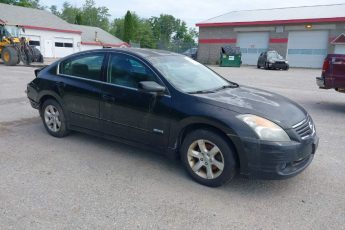 1N4CL21E69C108408 | 2009 NISSAN ALTIMA HYBRID