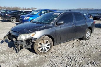 1NXBU4EE2AZ299554 | 2010 Toyota corolla base