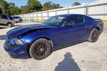 1ZVBP8AM1E5325347 | 2014 FORD MUSTANG