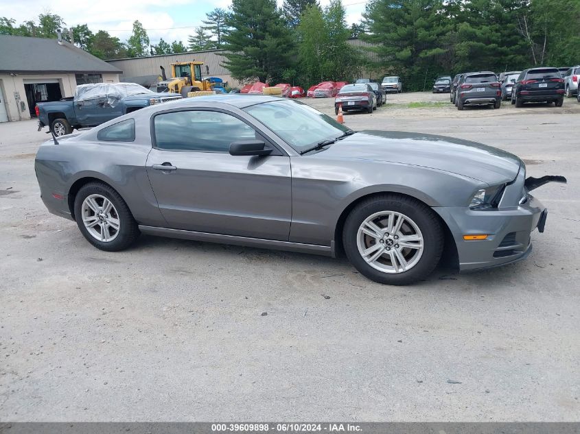 1ZVBP8AM8E5282030 | 2014 FORD MUSTANG