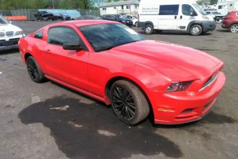 1ZVBP8AM8E5316242 | 2014 FORD MUSTANG