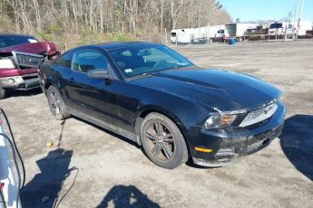 1ZVBP8AN4A5142771 | 2010 FORD MUSTANG