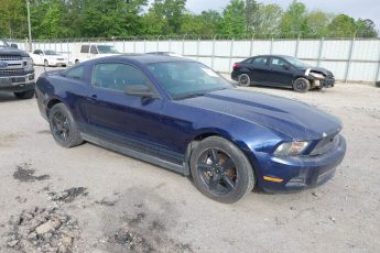 1ZVBP8AN9A5164345 | 2010 FORD MUSTANG