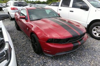 1ZVBP8CF1B5146154 | 2011 FORD MUSTANG