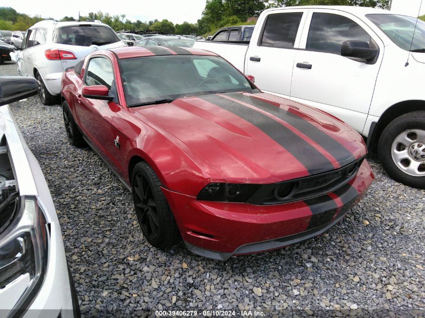 1ZVBP8CF1B5146154 | 2011 FORD MUSTANG