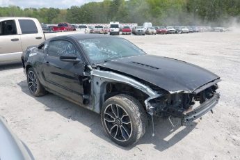 1ZVBP8CF3E5230738 | 2014 FORD MUSTANG