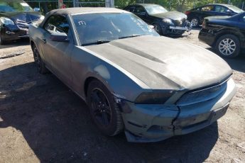 1ZVBP8EM3B5120411 | 2011 FORD MUSTANG