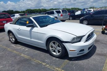 1ZVBP8EM9E5210652 | 2014 FORD MUSTANG