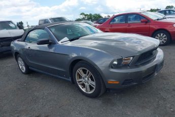 1ZVBP8EN1A5163118 | 2010 FORD MUSTANG