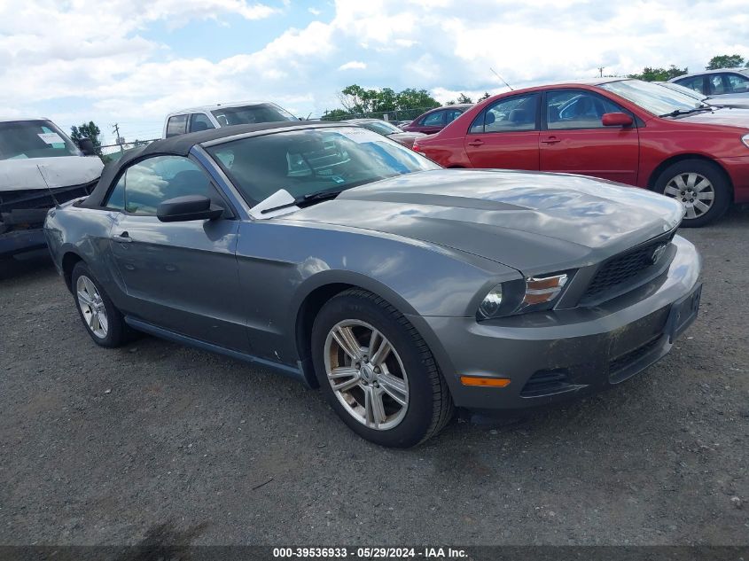 1ZVBP8EN1A5163118 | 2010 FORD MUSTANG