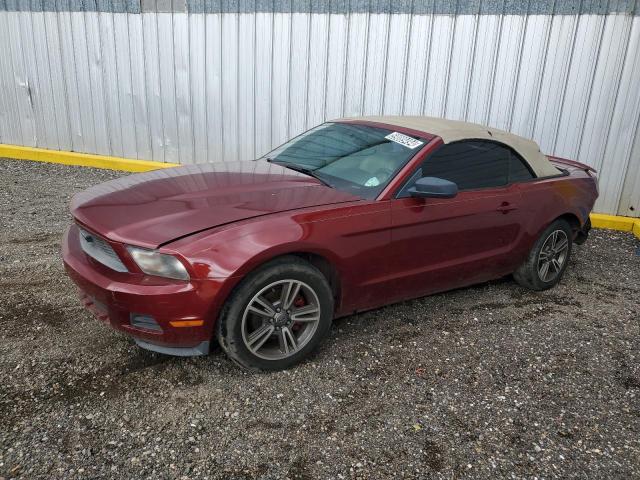 1ZVBP8EN7A5167996 | 2010 Ford mustang